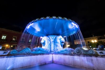 Tout savoir sur les fontaines à eau